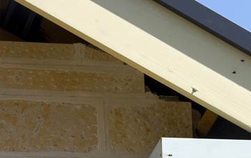 soffit repair Canewdon
